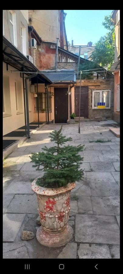 Александровский Одеса Екстериор снимка